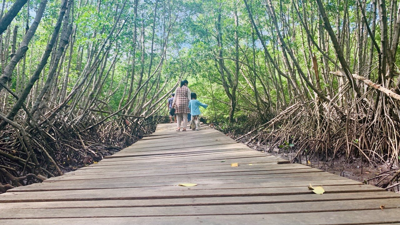 Menjelajahi Pesona Hijau Hutan Mangrove Denpasar: Catatan Liburan Keluarga Menjelang Akhir Tahun 2021